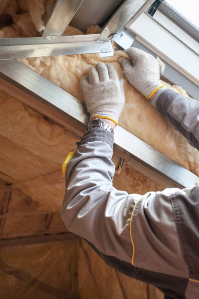 Best Cellulose Insulation in Shadow Lake, WA